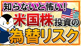 【知らないと怖い】米国株投資の為替リスクとは？円安・円高の基礎知識や為替ヘッジも丁寧に解説 [upl. by Alamaj]