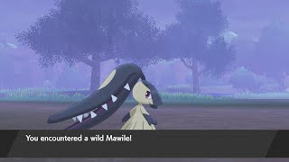 Mawile Location  Pokémon Sword Exclusive [upl. by Allesiram]