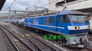 【HD60P】通過貨物列車 2024年8月分 [upl. by Gilliette]