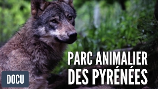 Parc Animalier des Pyrénées  Reportage [upl. by Vahe]