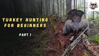 Intro to Turkey Hunting  State of Ohios Turkey Population [upl. by Zelazny]