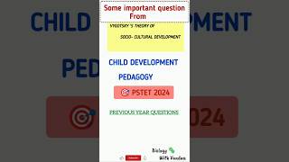 PSTET Pyq vygotsky s theory of socio cultural development pstet2024notification [upl. by Nilyaj]