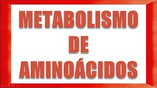 METABOLISMO DE AMINOÁCIDOS [upl. by Lander]