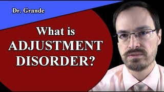 What is Adjustment Disorder [upl. by Aenil]