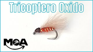 Tricoptero Oxido  Caddis [upl. by Lorolla753]