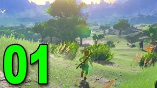 Zelda Breath of the Wild  Part 1  Wake Up Link Nintendo Switch Gameplay [upl. by Tate]