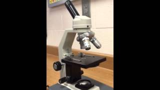 Parts amp Functions of Microscope [upl. by Feliza574]