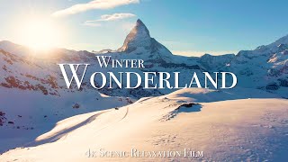 Winter Wonderland 4K  Scenic Relaxation Film with Calming Music [upl. by Abih654]