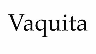 How to Pronounce Vaquita [upl. by Gerk]