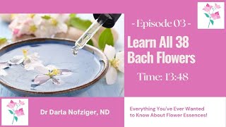 Learn All 38 Bach Flower Remedies Short Version [upl. by Jenda]