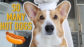 HOT DOG PRANK  Topi the Corgi [upl. by Yentruocal]