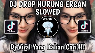 DROP HURUNG ERCAN SLOWED  DJ DROP HURUNG King Ercan VIRAL TIKTOK TERBARU YANG KALIAN CARI [upl. by Nowd360]