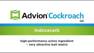 Advion Cockroach Gel Bait [upl. by Hudgens]