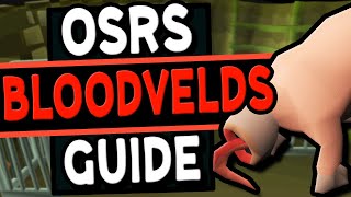 The Ultimate Bloodvelds Guide Old School Runescape [upl. by Lainad]