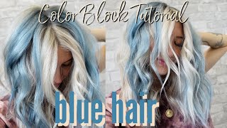 BLUE HAIRCOLOR BLOCK TUTORIAL  Wholy Hair [upl. by Anitel]