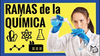 RAMAS de la QUÍMICA en 5 minutos [upl. by Moretta]