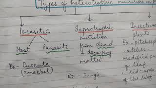 Mind Map  Nutrition in plants Class 7 Chapter 1 [upl. by Adnala]