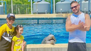 DOLPHIN ENCOUNTER  DOLPHIN SHOW  SEAWORLD SAN ANTONIO  SKYE and Family [upl. by Anelahs]