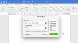 Seitenzahl einfügen amp ändern  Schule  Studium  Facharbeit  Seminararbeit [upl. by Mclaurin]
