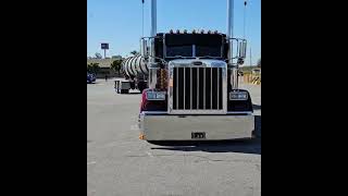 PETERBILT HEAD SHAKER trucking peterbilts trailer peterbilt379 [upl. by Raffaj728]