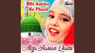 Bibi Amina Ke Phool [upl. by Immas]