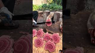 Cutting chicken blood vine farming [upl. by Wojcik]