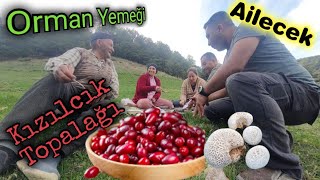 Ormanda Kızılcık Topalağı Ailecek Orman Gezisi Ormanda En Güzel Yemek [upl. by Queston757]