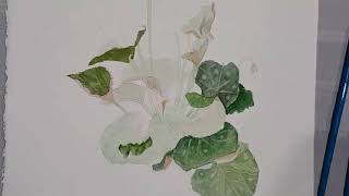 How to paint a realistic Cyclamen in watercolour 6 NehadBekhit watercolor [upl. by Moyer]