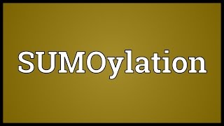 SUMOylation Meaning [upl. by Rma]