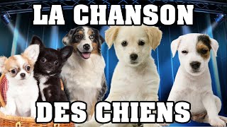 🐶 LA CHANSON DES CHIENS 🐶 [upl. by Ayamat]