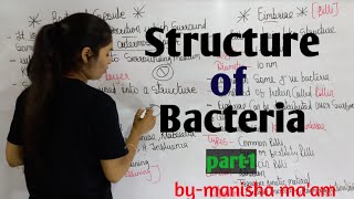 Structure of Bacteria  in hindi Bacteriology  By Manisha Maam  Microbiology [upl. by Annahael778]