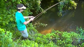 Tiny Creek Flyfishing 4 Species [upl. by Tesil]