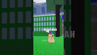 Doge meet Admin in Bloxfruits🙀🔝  Doge Gaming [upl. by Llertniuq]