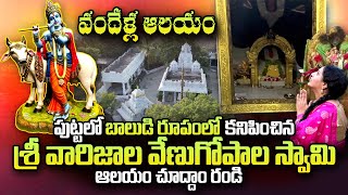 Sri Varijala Venugopala Swamy Temple Story  Gopalayapalli  Ramulamma  SumanTV Telugu [upl. by Tillio]