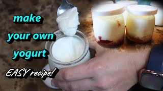 Make your Own Yogurt in the Mueller Yogurt Maker Fresh and EASY [upl. by Abert]