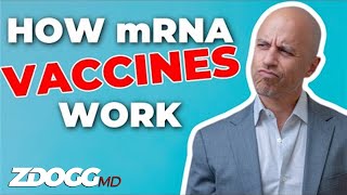 How mRNA Vaccines Work  A Doctor Explains [upl. by Eledoya880]