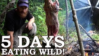 5 DAYS eating ONLY WILD FOODS The Wilderness Living Survival Challenge  COMPLETE SEASON 2 [upl. by Asertal]