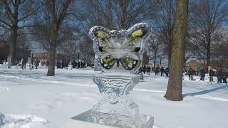 Medina Ice Carving Festival 2021 [upl. by Lyssa368]