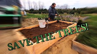 How I Put Trees Into Transplant Beds [upl. by Ola]