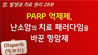 PARP 억제제 난소암의 치료 패러다임을 바꾼 항암제 암 발생과 치료 원리 28부 ㅡ 엄 박사의 생명과학 이야기 [upl. by Thaddus]