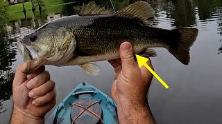 LUNKERHUNT TOPWATER COMBO REVIEW Do They Work [upl. by Acceber373]