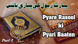 Pyare Rasool Ki Pyari Baaten  Part 1  Quran Aur Hadees [upl. by Llerdnad]