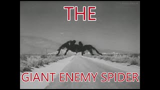 THE GIANT ENEMY SPIDER MEME Tarantula 1955 [upl. by Otit]