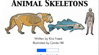 Animal Skeletons [upl. by Nujra]