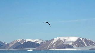 03082019  escale à Grise Fiord ᐊᐅᔪᐃᑦᑐᖅ ou Aujuittuq  Ellesmere Island  Nunavut  Canada [upl. by Naeerb190]