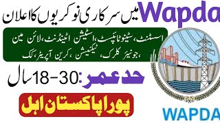 Wapda jobs 2024  Jobs in Pakistan 2024  Latest jobs 2024 [upl. by Baylor564]