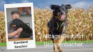 Das Grossenbacher AlltagsGeschirr [upl. by Nilre]