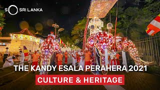 The Kandy Esala Perahera  So Sri Lanka [upl. by Morgenthaler]