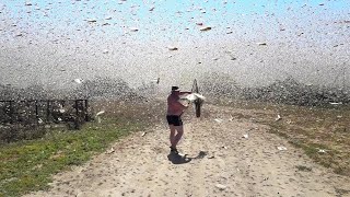 10 Increíbles Fenómenos Naturales Capturados Por Cámaras MOMENTOS EXTREMOS [upl. by Ritz]