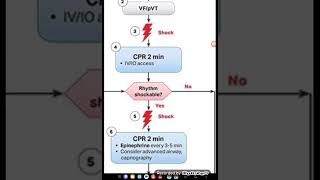 ACLS Cardaic Arrest Algorithm [upl. by Enomaj]